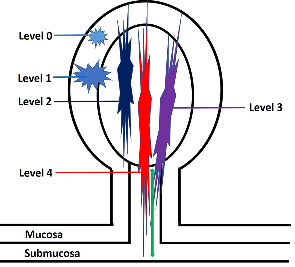 Figure 6. 