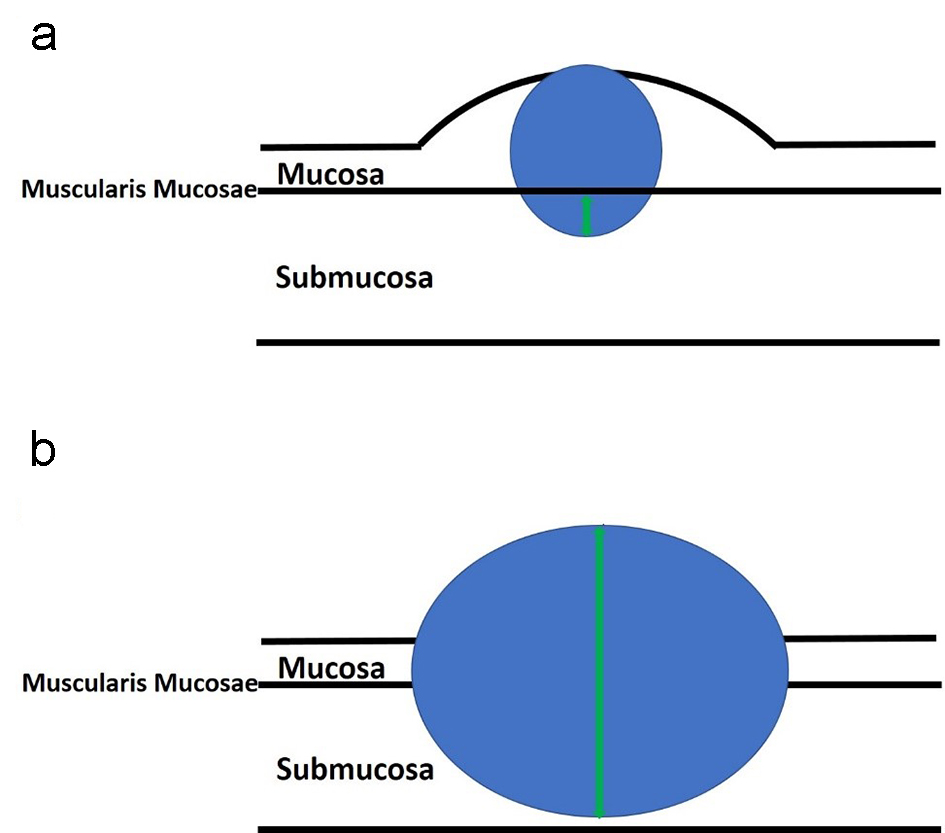 Figure 8. 