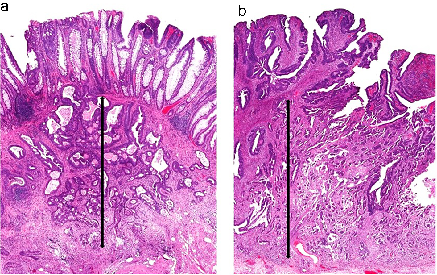 Figure 9. 