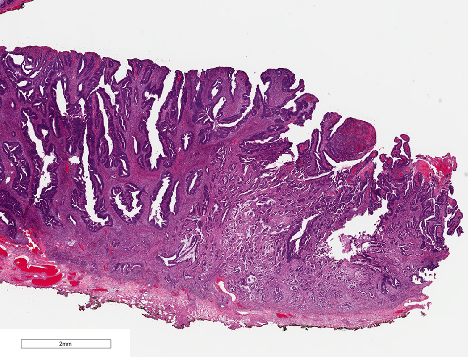 Figure 10. 