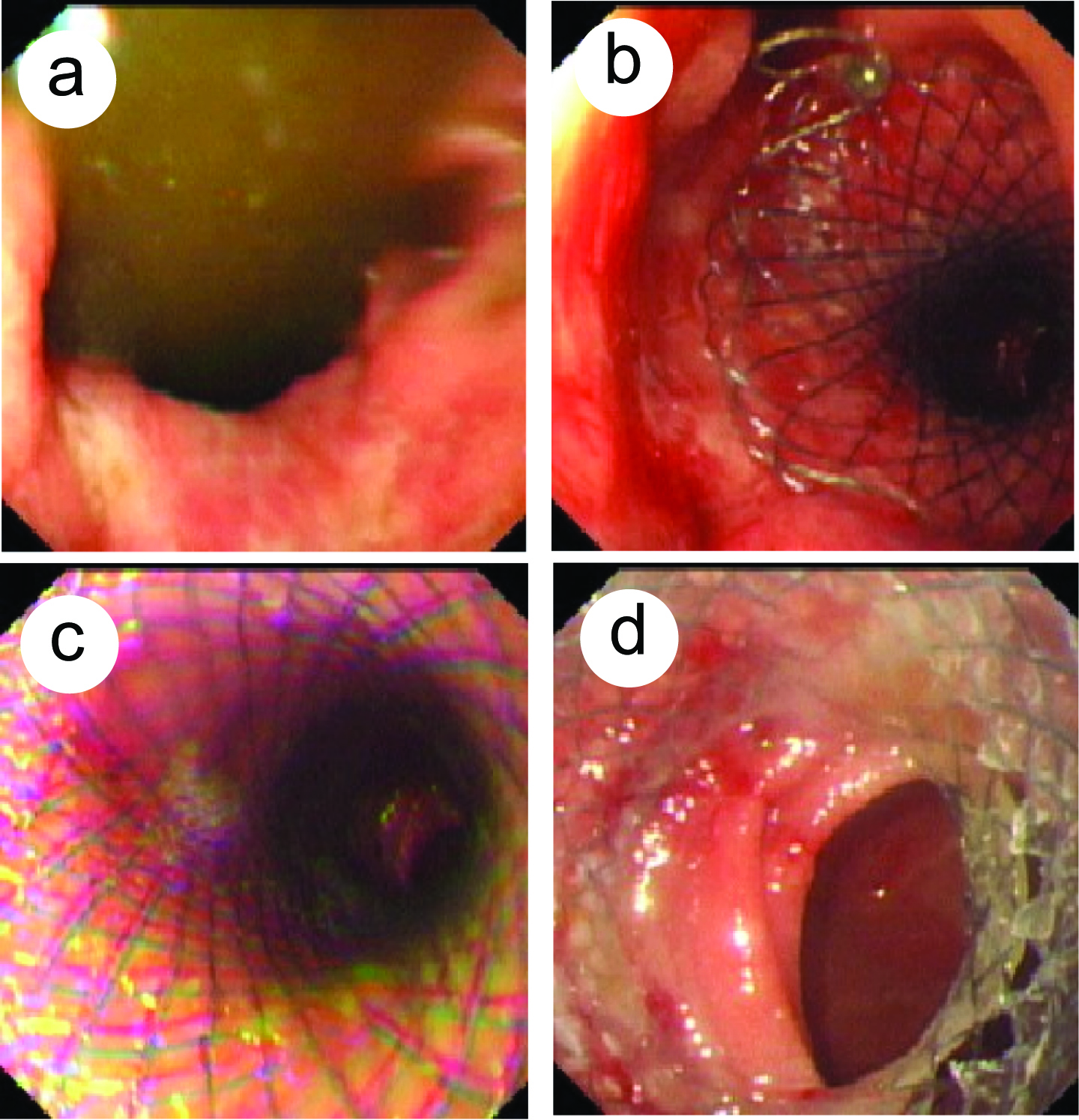 Figure 3. 