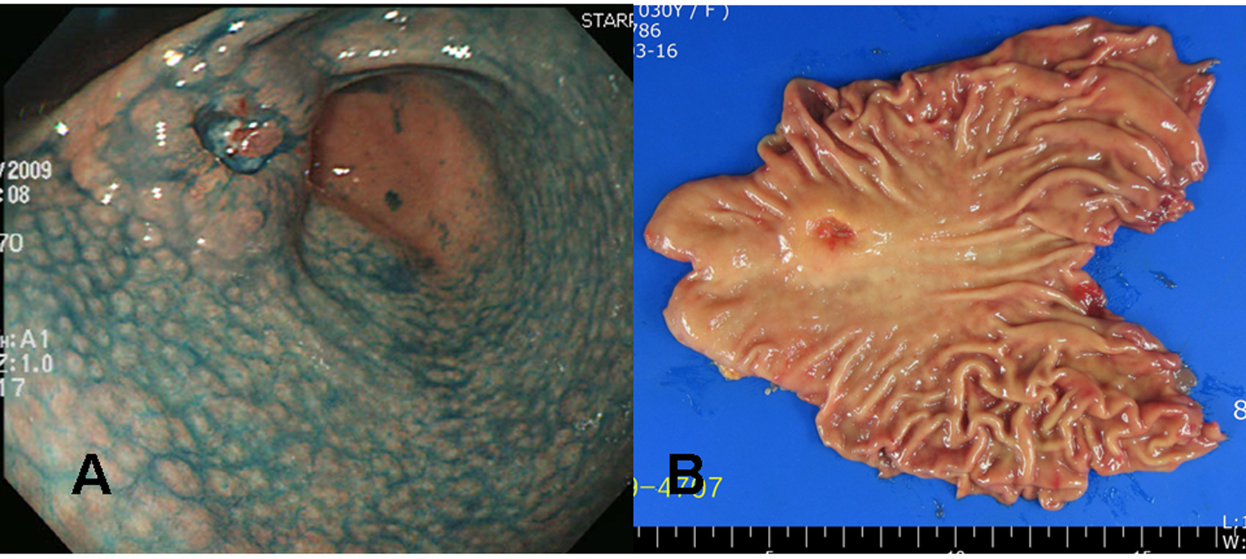 Figure 3. 