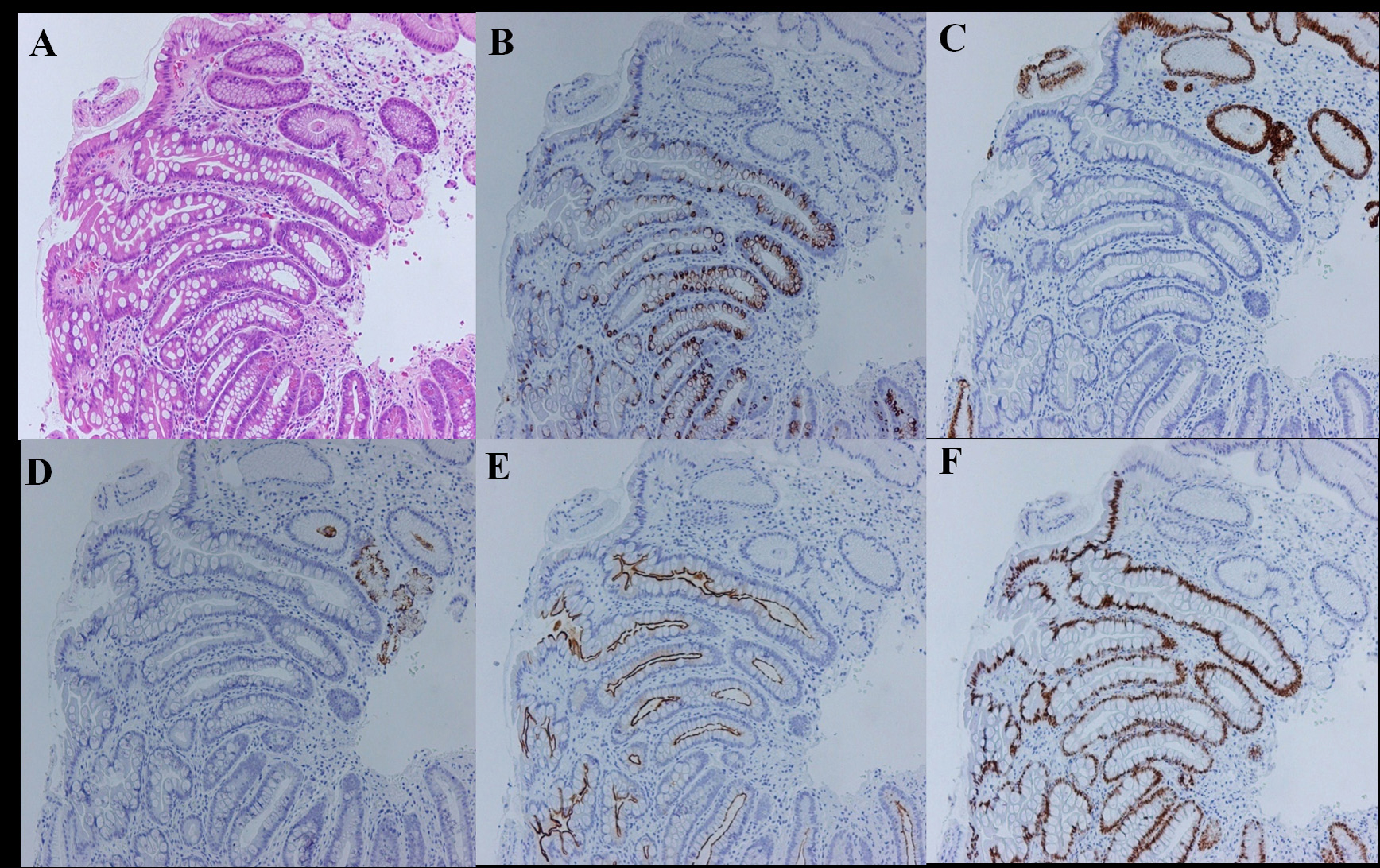 Figure 3. 