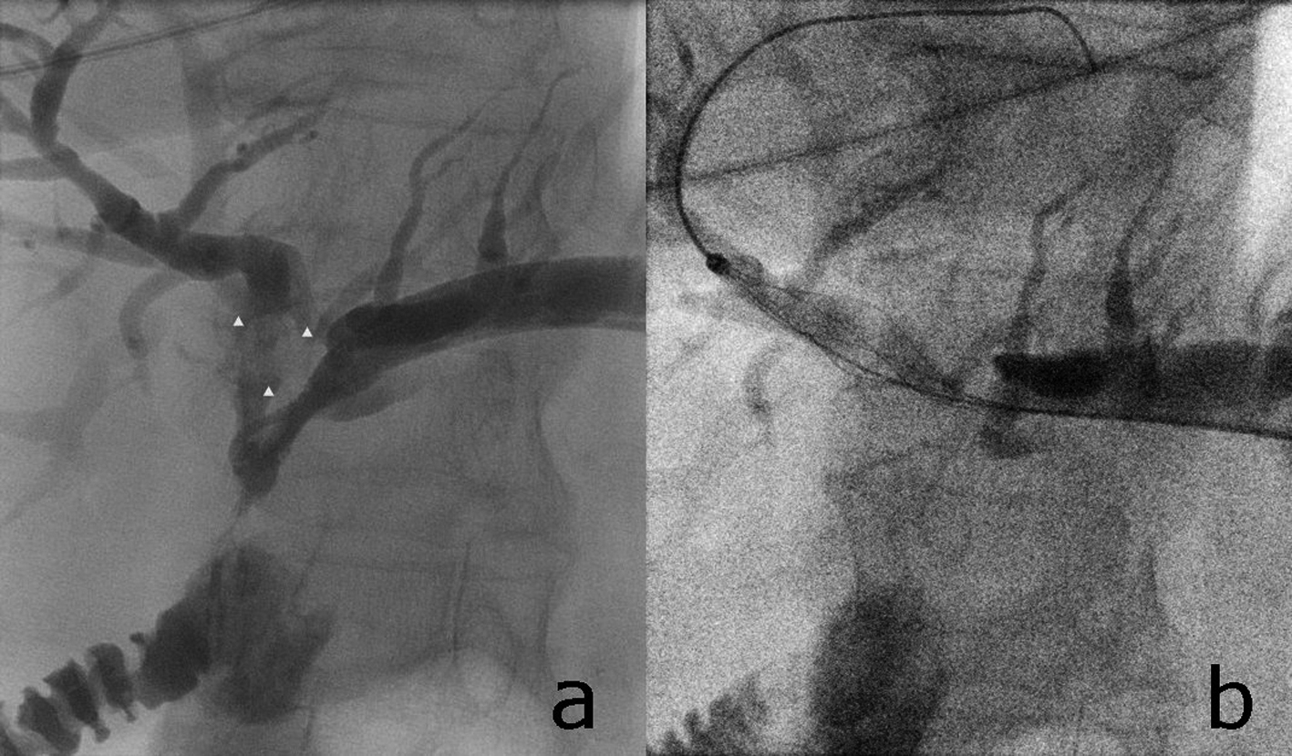 Figure 3. 