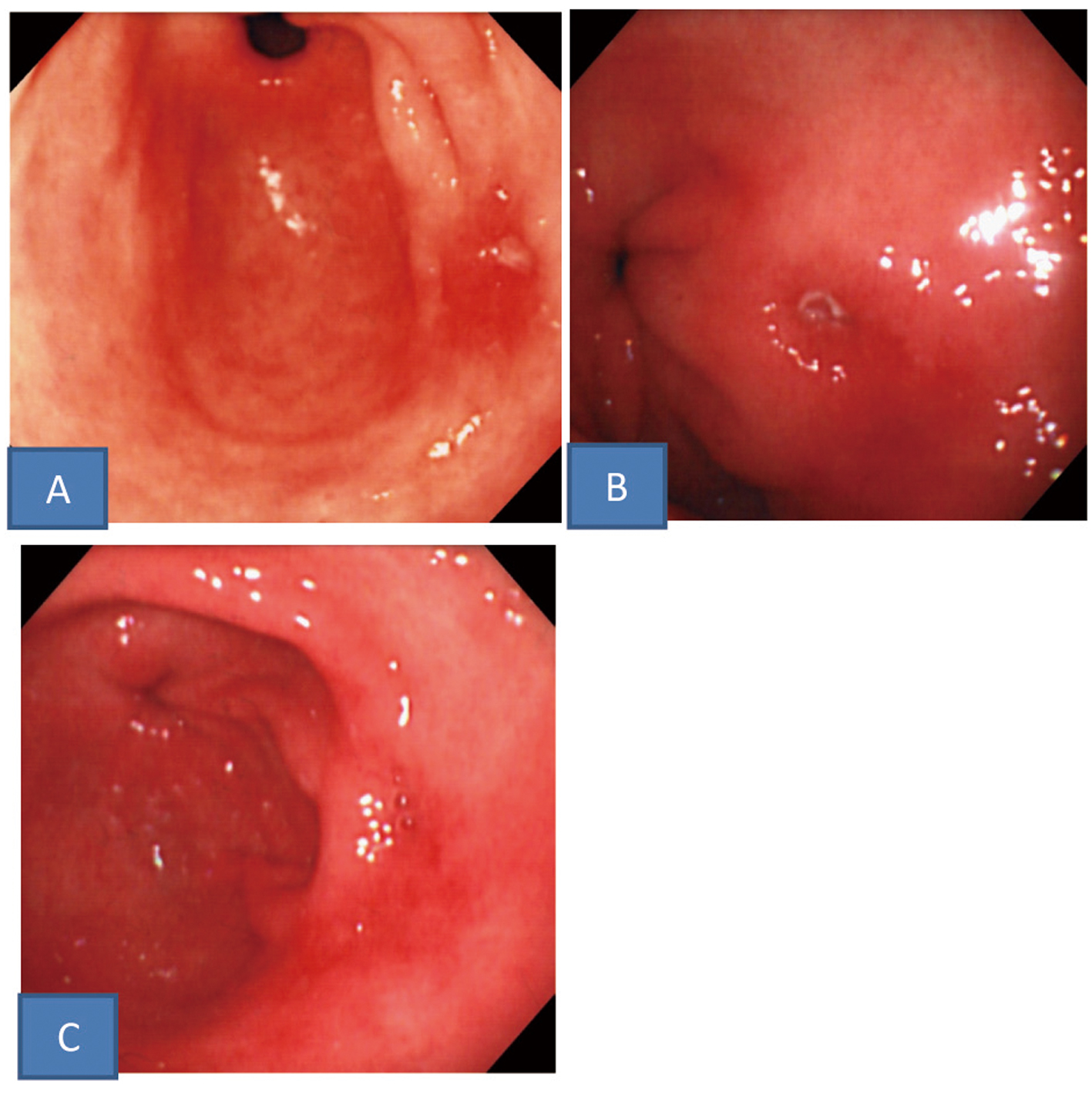 Figure 3. 